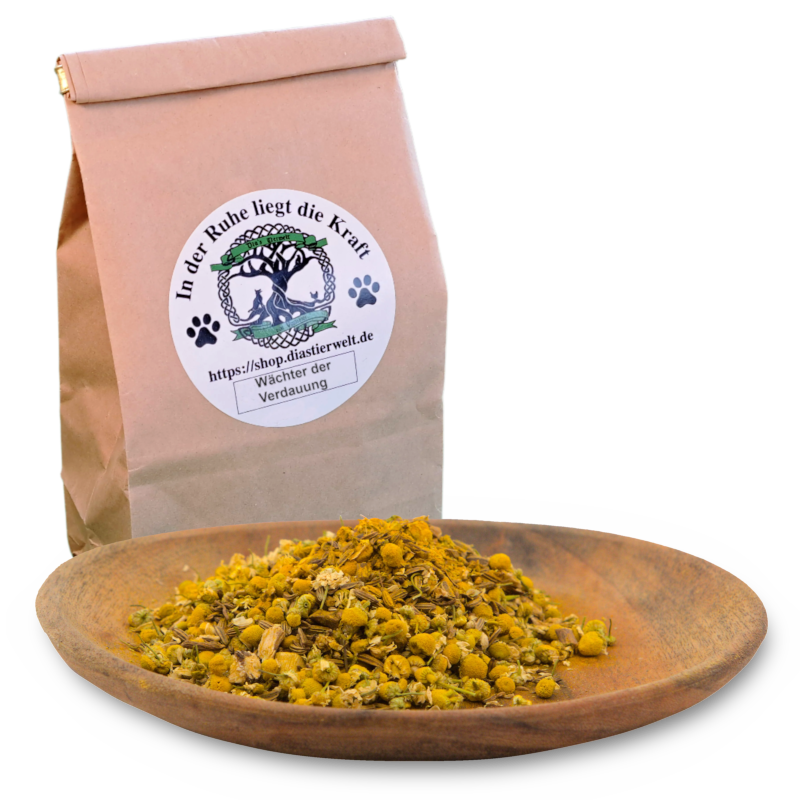 Asklepios: Unterstützung für gute Verdauung beim Hund