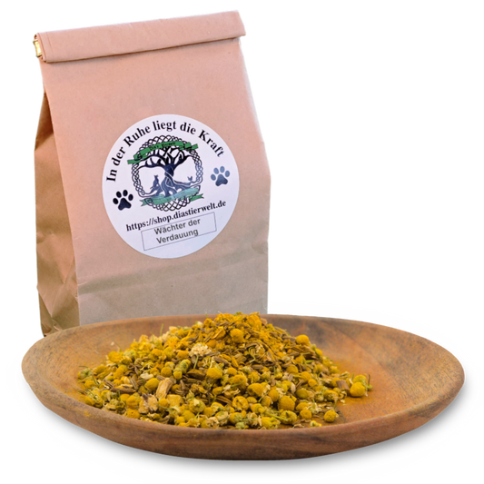 Asklepios: Unterstützung für gute Verdauung beim Hund