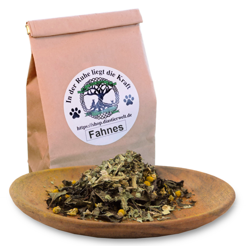 Phanes - Für Mundhygiene