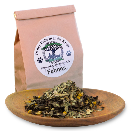 Phanes - Für Mundhygiene