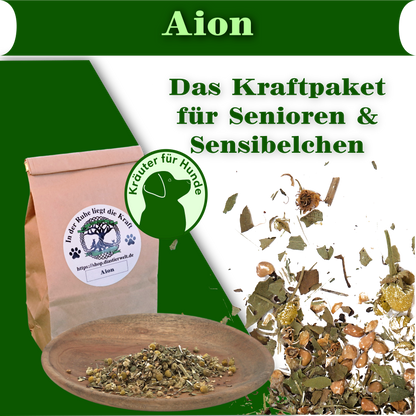 Aion - Das Kraftpaket für Senioren & Sensibelchen